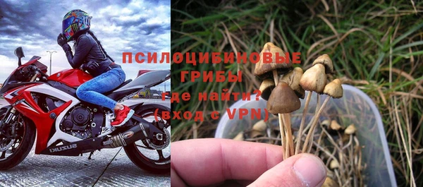 ГАЛЛЮЦИНОГЕННЫЕ ГРИБЫ Алексин
