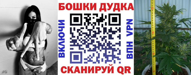 Конопля Bruce Banner  купить наркотики сайты  Цивильск 